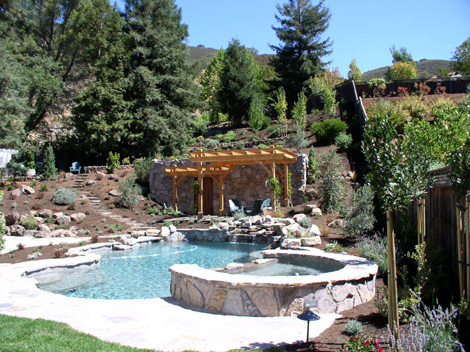 Landscape Design and Pool