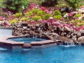 Swimming pool natural design and landscape 20